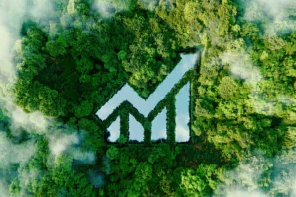 随着投资者降低美联储降息预期 全球债券抛售正在加剧